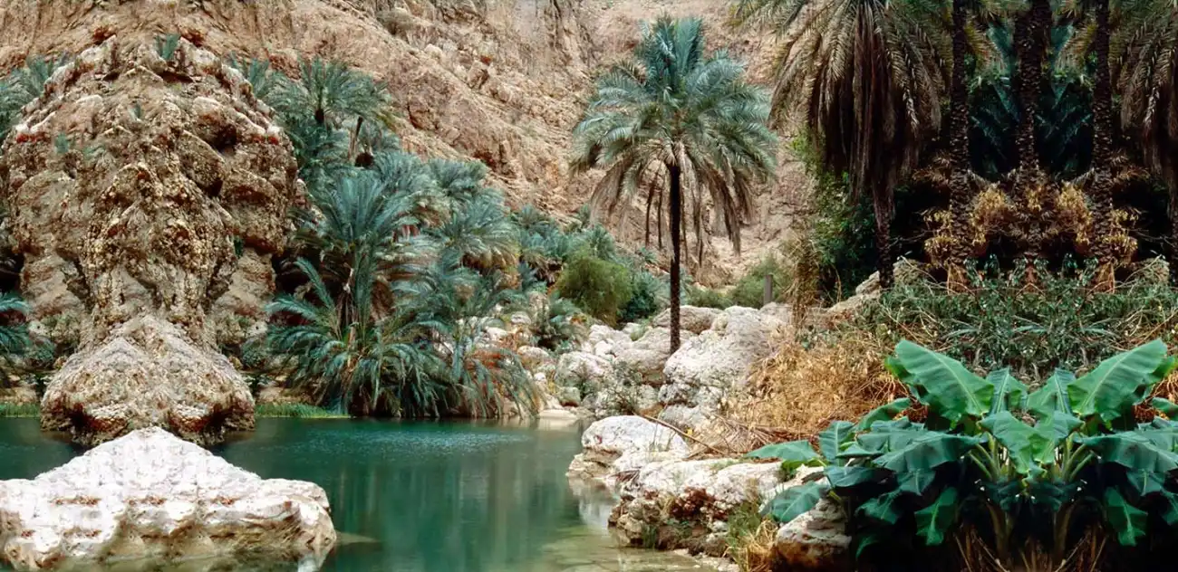Wadi Shab